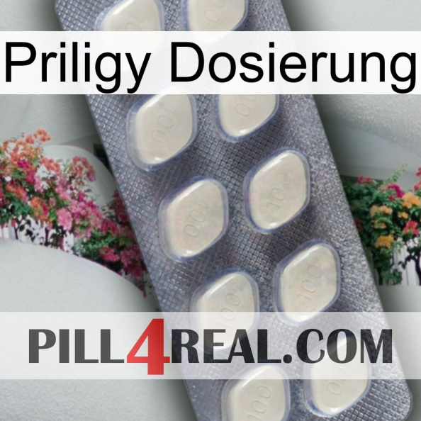 Priligy Dosage 08